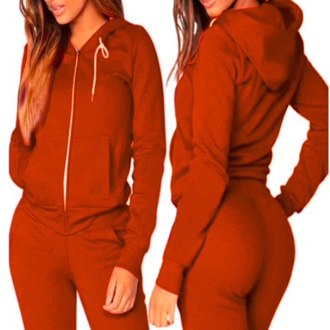 Blusa de Frio Feminina em Moletom Flanelado com Capuz e Zíper
