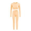 Conjunto top com calça fitness academia feminino cintura alta moda zero transparência