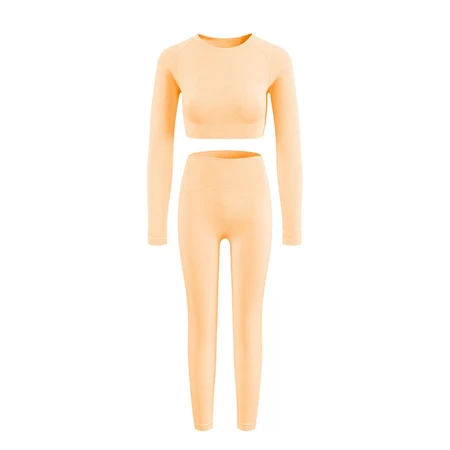 Conjunto top com calça fitness academia feminino cintura alta moda zero transparência